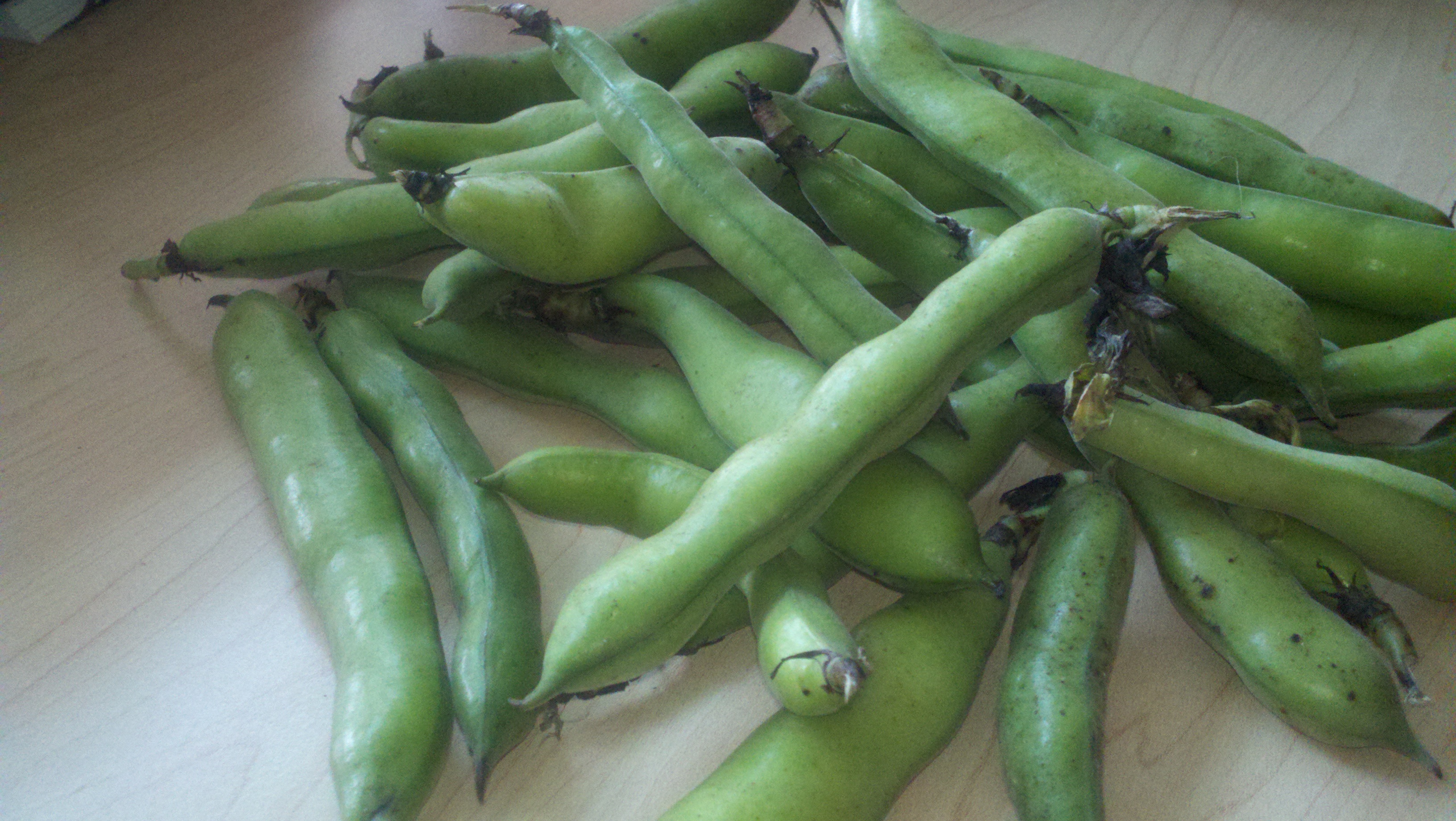 Roasted Fava Beans | The Greek Vegan