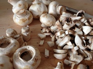 small white msuhrooms