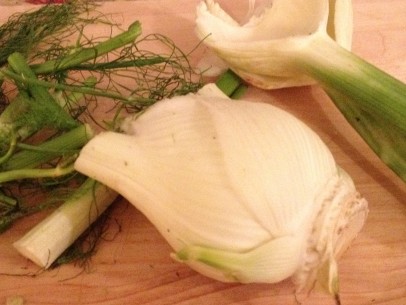 fennel bulb