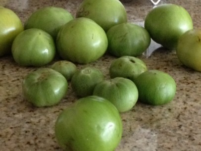 all shapes and sizes of green tomatoes