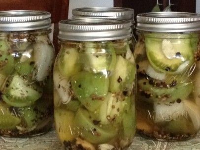 pickled green tomatoes