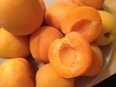 fresh apricots