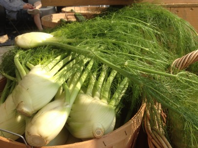 fennel with full fronds at the farmers market