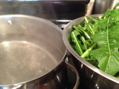 add dandelion greens to pot of well-salted, boiling water