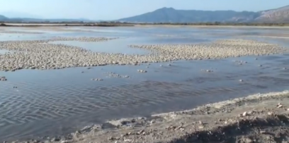 sea salt pools or lagoons of Messolonghi