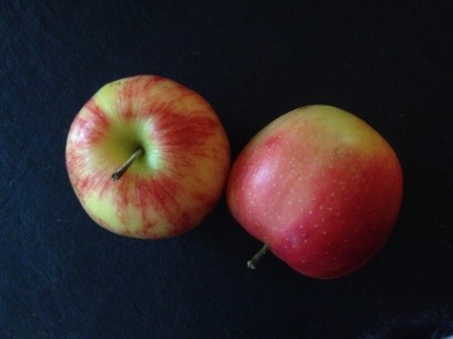 medium size, slightly tart and a little sweet jonagold apples